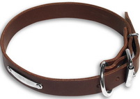 Leather dog collar with id tag